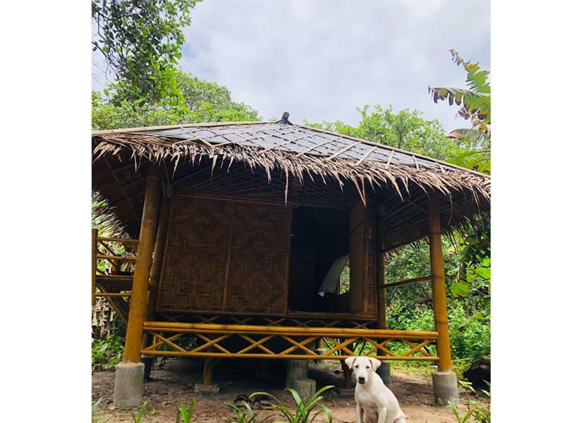 Chalee Tropicana Bungalow Koh Phayam Exterior foto